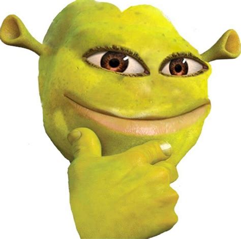 funny memes of shrek